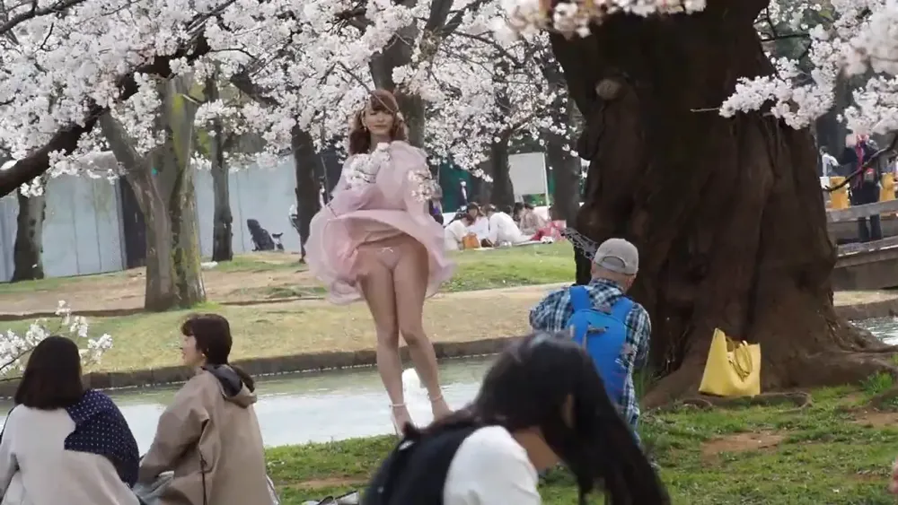 panty shot, Japanese, cherry blossom 18