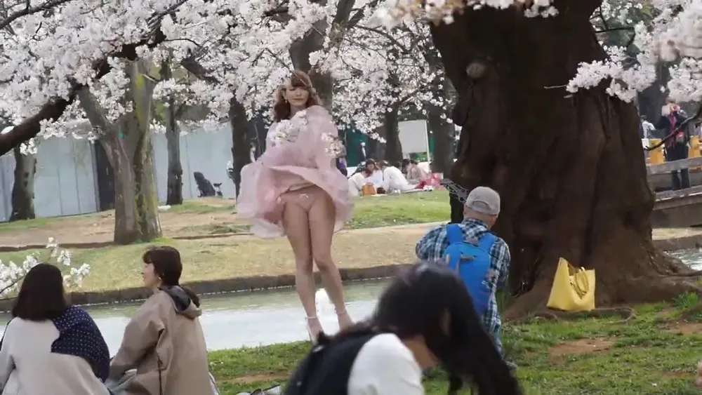 panty shot, Japanese, cherry blossom 21