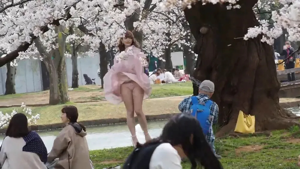 panty shot, Japanese, cherry blossom 25