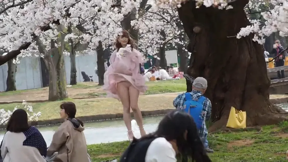 panty shot, Japanese, cherry blossom 31