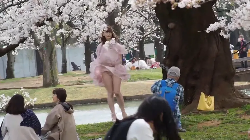 panty shot, Japanese, cherry blossom 35