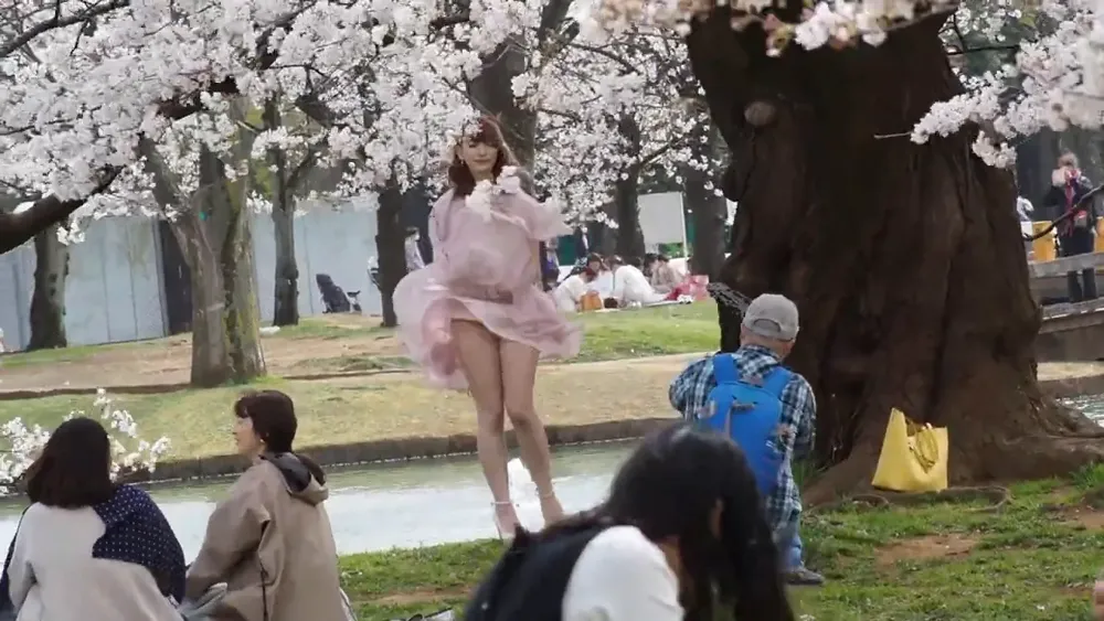 panty shot, Japanese, cherry blossom 38